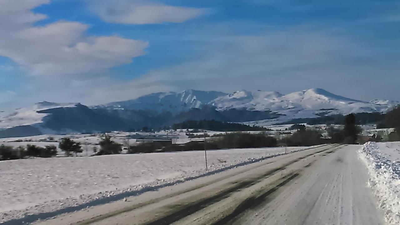 Tulipe, Appartement 5 Personnes, Entre Sancy Et Volcans D'Auvergne Orcival Εξωτερικό φωτογραφία