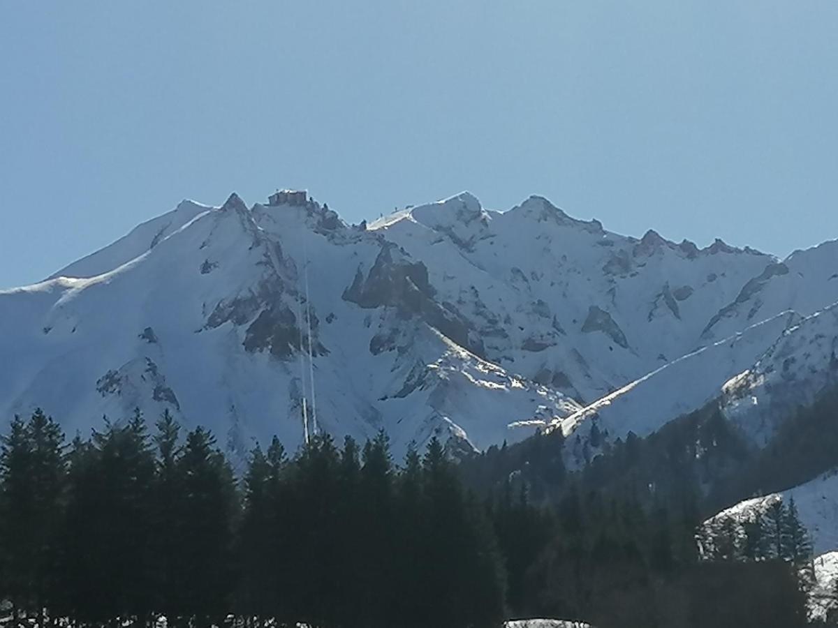 Tulipe, Appartement 5 Personnes, Entre Sancy Et Volcans D'Auvergne Orcival Εξωτερικό φωτογραφία