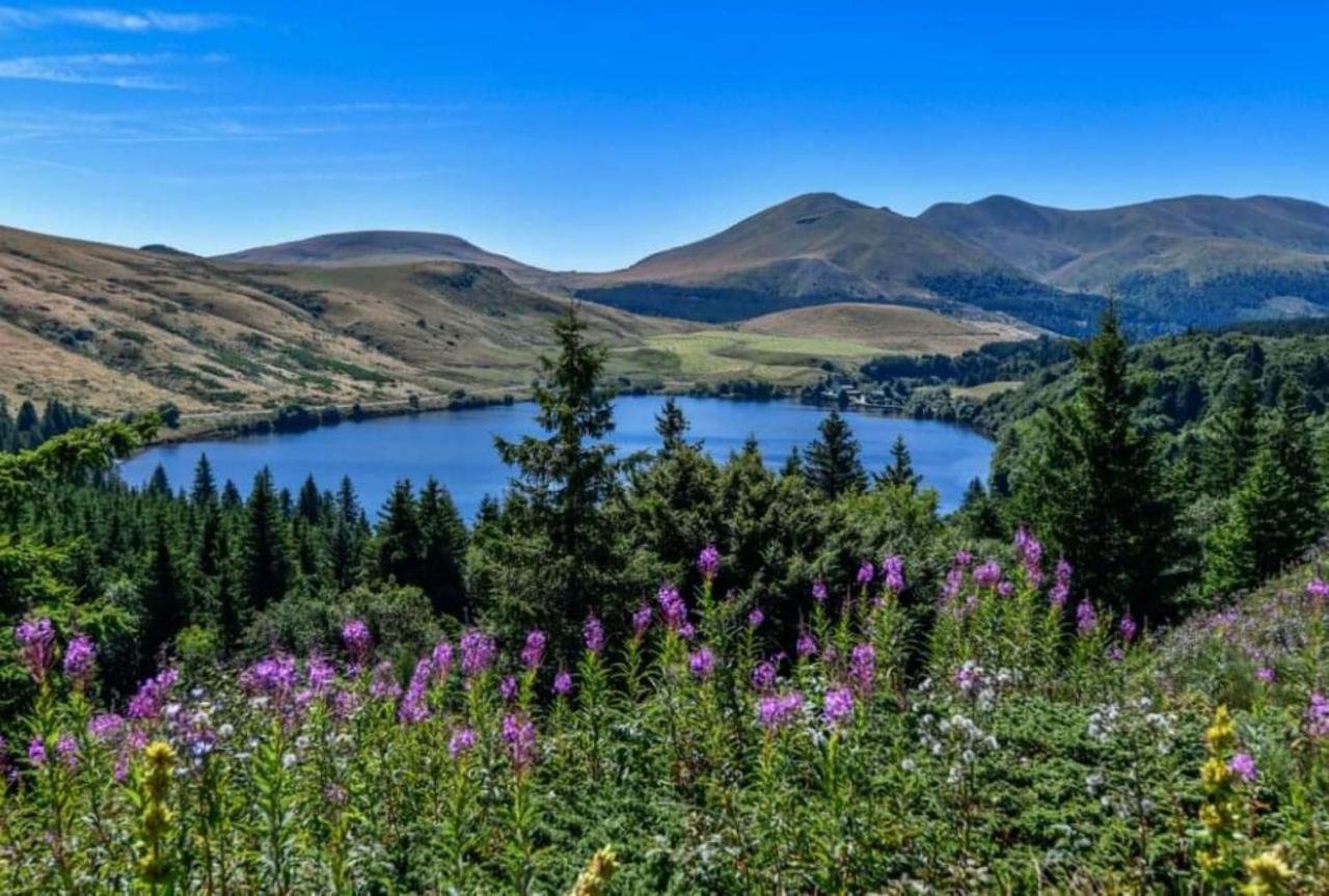 Tulipe, Appartement 5 Personnes, Entre Sancy Et Volcans D'Auvergne Orcival Εξωτερικό φωτογραφία